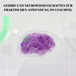 Gehirn und Neurowissenschaften zur praktischen Anwendung im Coaching. Coach Werk Zeuge