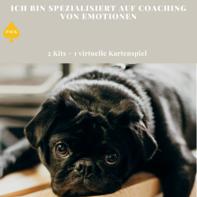 Ich bin spezialisiert auf Coaching von Emotionen. Coach Werkzeuge