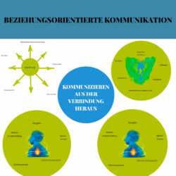 Beziehungsorientierte Kommunikation. Coach Werkzeuge