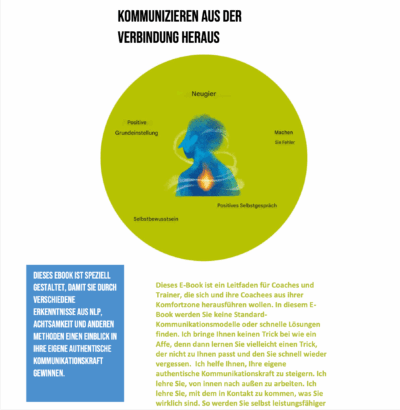 Beziehungsorientierte Kommunikation. Coach Werkzeuge