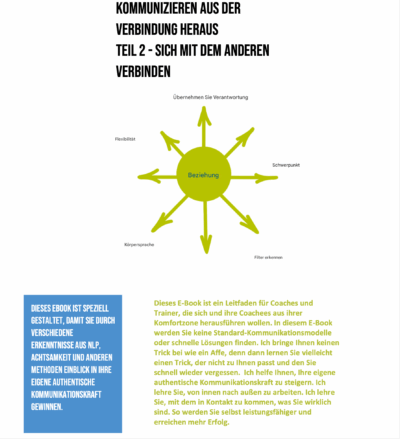 Beziehungsorientierte Kommunikation. Coach Werkzeuge