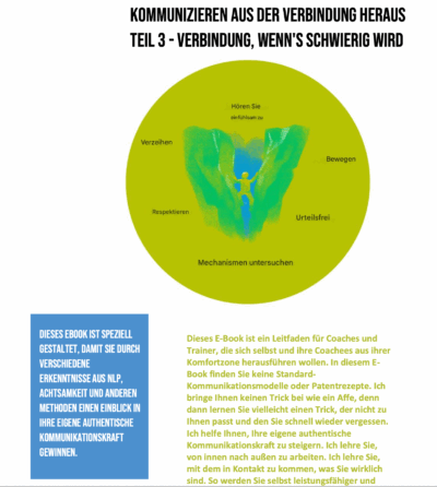 Beziehungsorientierte Kommunikation. Coach Werkzeuge