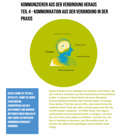 Beziehungsorientierte Kommunikation. Coach Werkzeuge