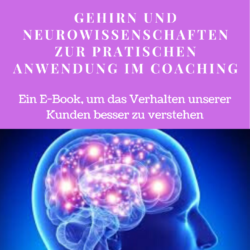 Gehirn und Neurowissenschaften