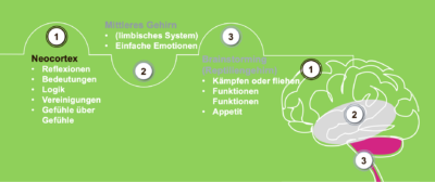 Widerstandsfähigkeit und des Energiemanagements. Coach Werkzeuge