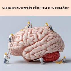 Neuroplastizität für Coaches