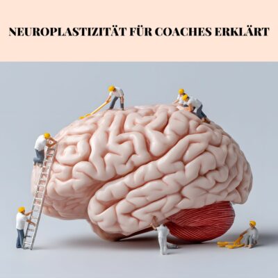 Neuroplastizität für Coaches