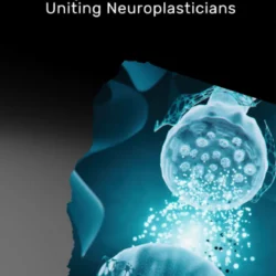 NPN Hub. CoachWerkzeuge