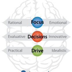 Nutze die Brain Profile Certification für neuro-basiertes Coaching. Verstehe die Arbeitsweise des Gehirns deiner Klienten für tiefe Reflexion und Ergebnisse.