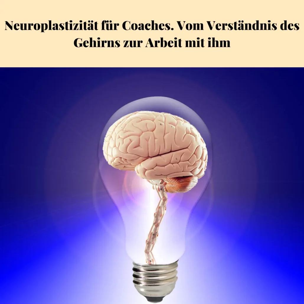 Neuroplastizität für Coaches. Vom Verständnis des Gehirns zur Arbeit mit ihm. Coach WerkZeuge