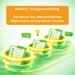 Tool-Modul 3 – Gruppencoaching : Die Mauer der Offensichtlichkeiten vs. blinde Flecken